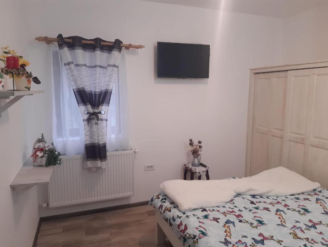 Pensiunea Dodo Patarlagele Kültér fotó