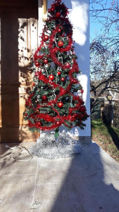 Pensiunea Dodo Patarlagele Kültér fotó