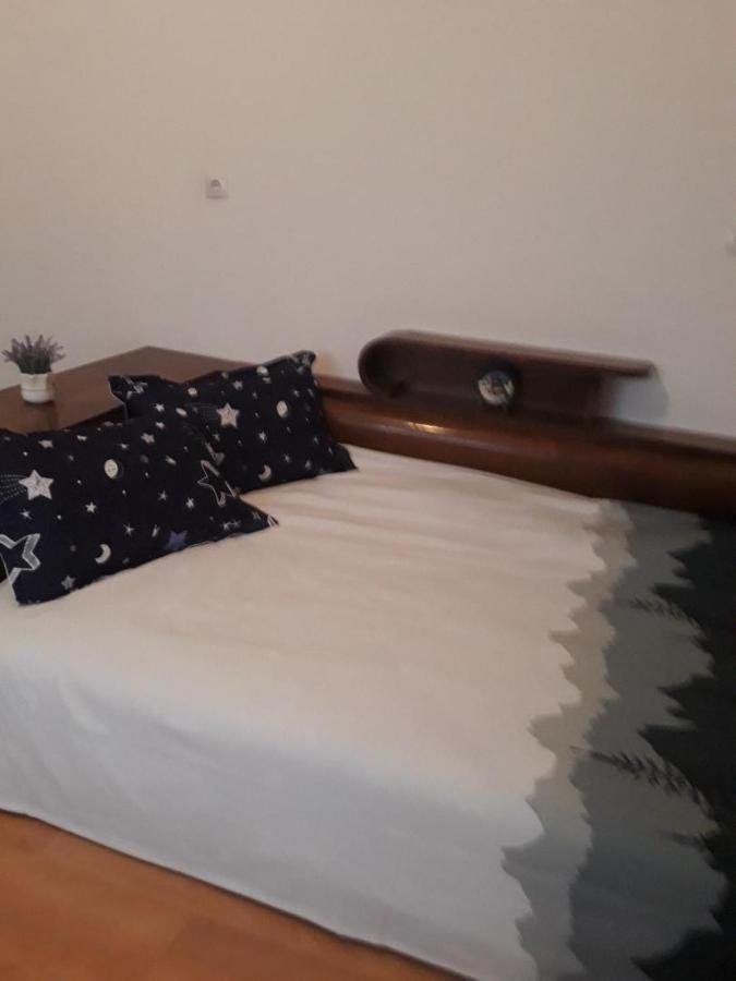 Pensiunea Dodo Patarlagele Kültér fotó